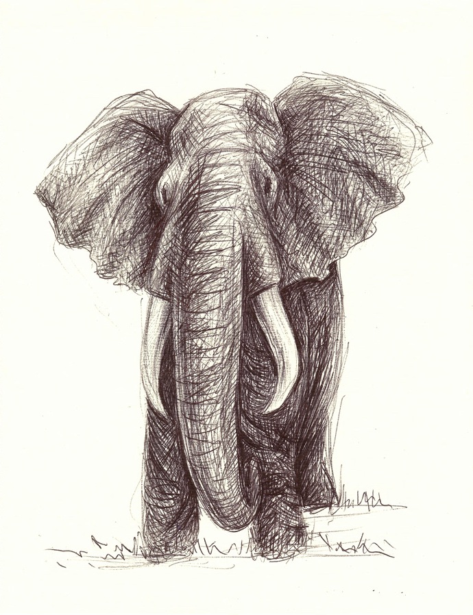 Imagined Elephant