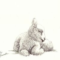 Innocent Little Lamb