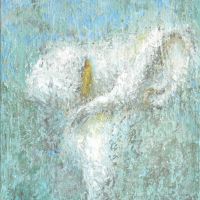 First Lily IN 191 Impressionist Calla painting