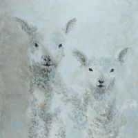 Two Soft Lambs